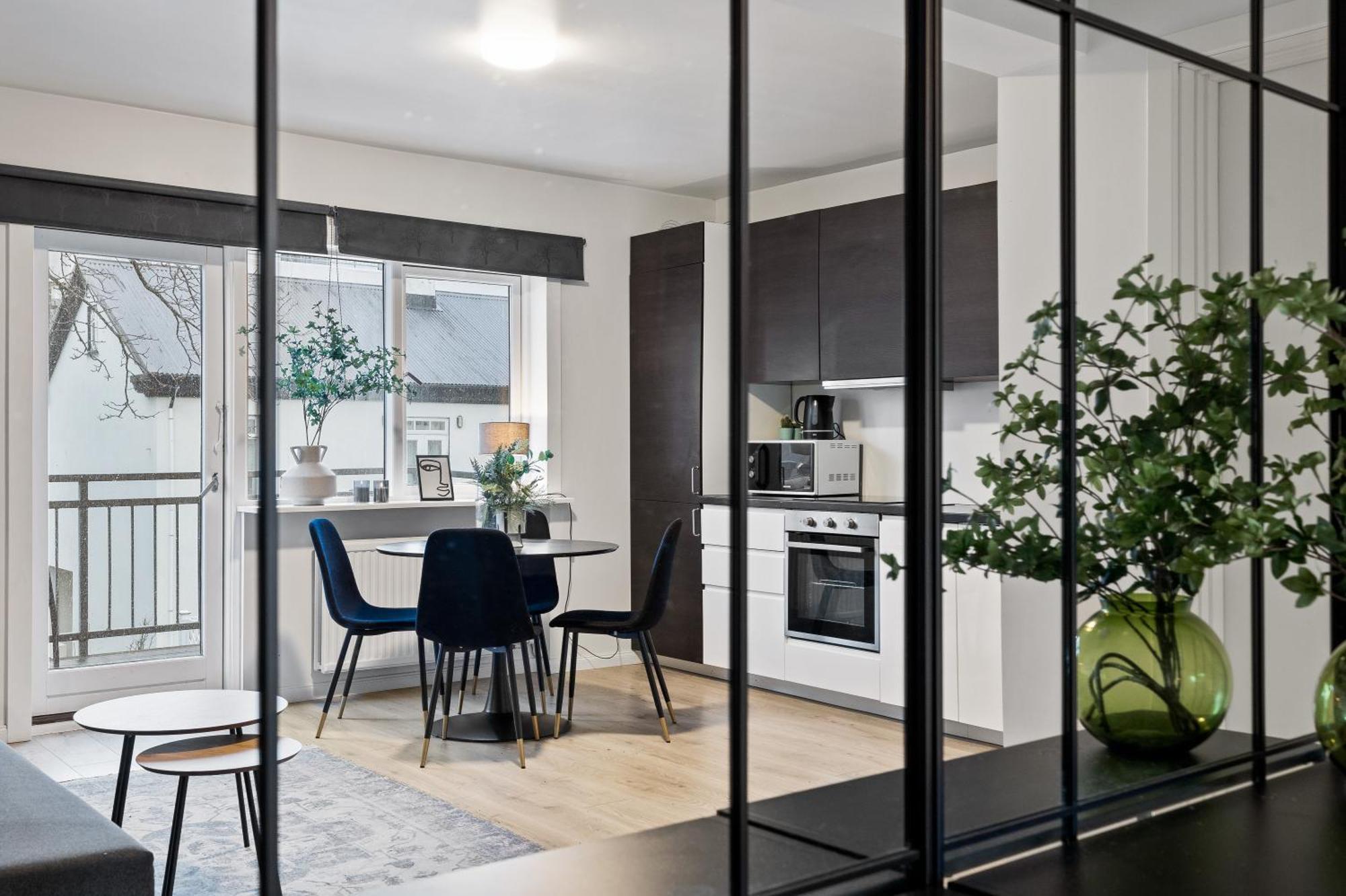 Cozy And Central Apartment Reykjavík Exterior photo